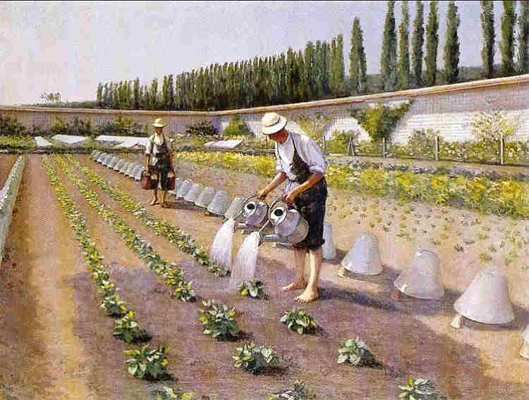 Le jardin potager dans la propri&eacute;t&eacute; d'Yerres par Gustave Caillebotte