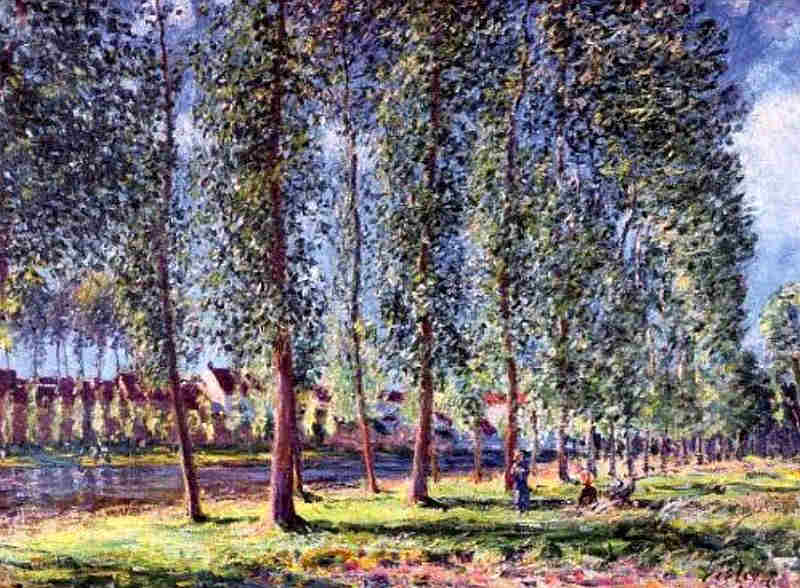 All&eacute;e des peupliers &agrave; Moret-sur-Loing  par Alfred Sisley