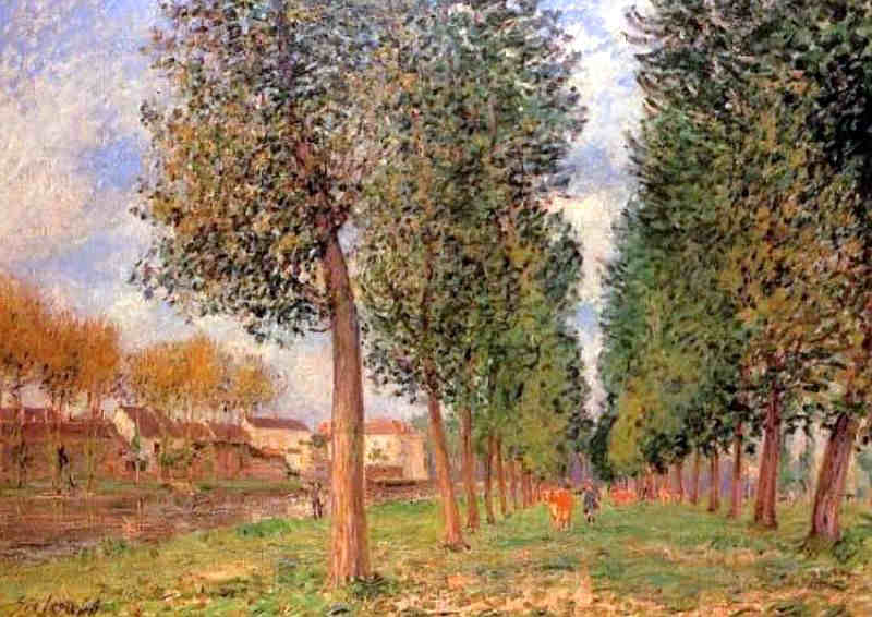 All&eacute;e des peupliers &agrave; Moret-sur-Loing, par un matin couvert  par Alfred Sisley
